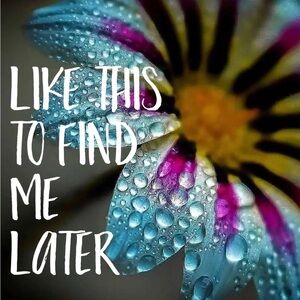 PLEASE LIKE THIS TO FIND ME LATER